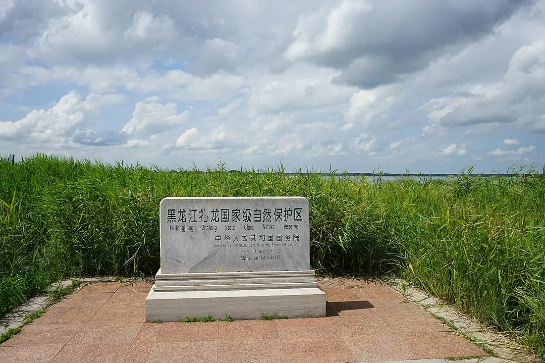 "Heilongjiang Zhalong State Class Nature Reserve" stele