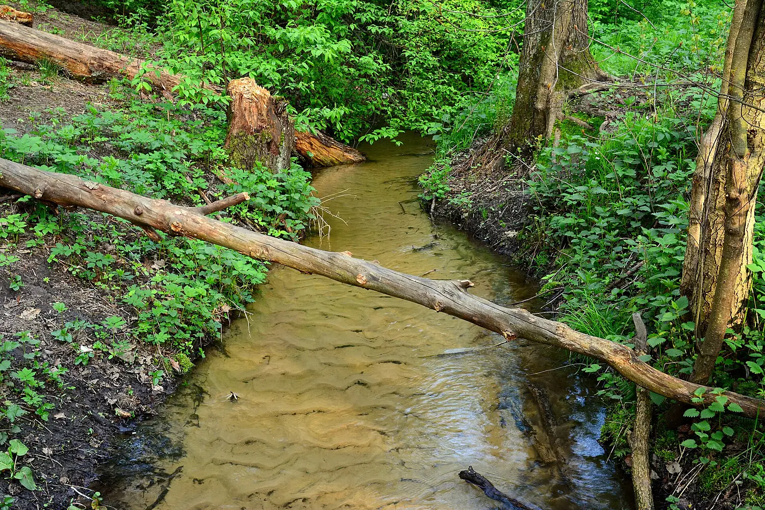 Fresh stream