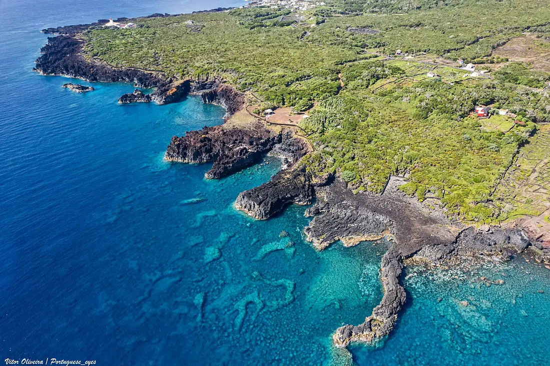 Costa Leste da Ilha do Pico - Portugal 🇵🇹 (53931253090)