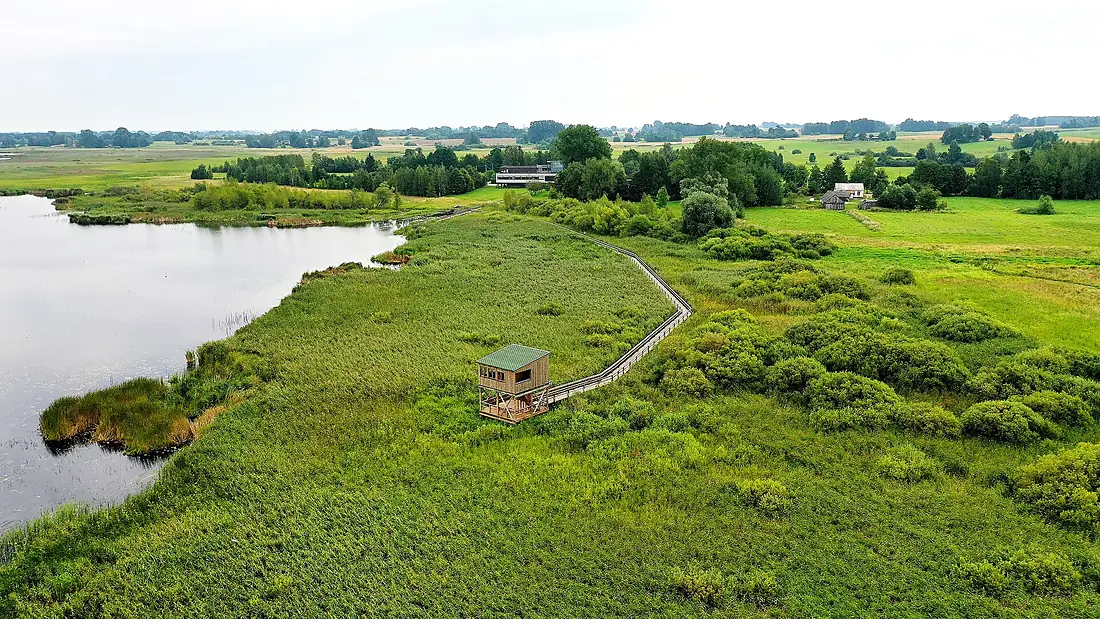 Lake Žuvintas pedestrian trail