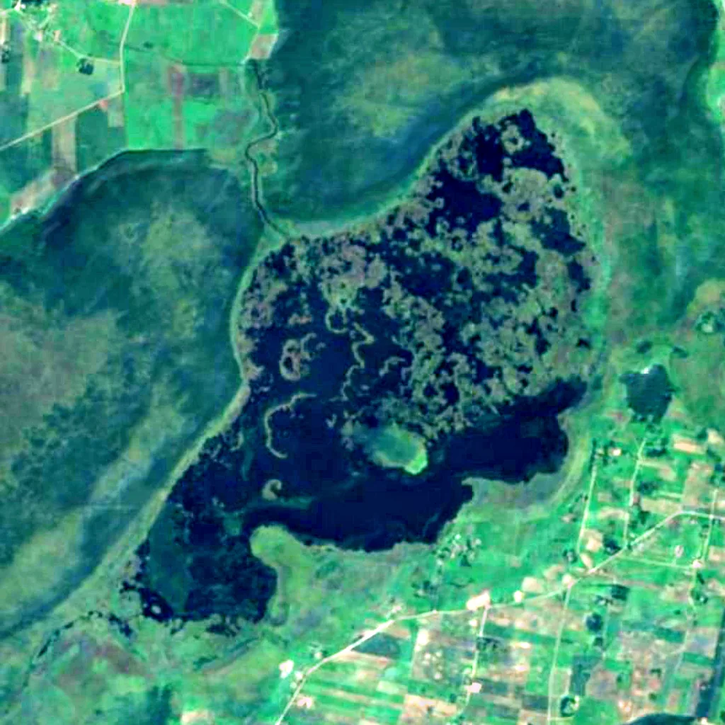 Žuvintas Lake seen from above (Sentinel-2)